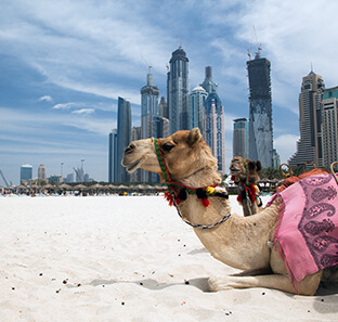 3 Star 12 Nights Dubai Holidays Package