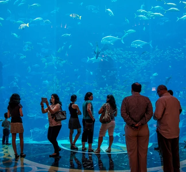 3 Star 12 Nights Dubai Holidays Package