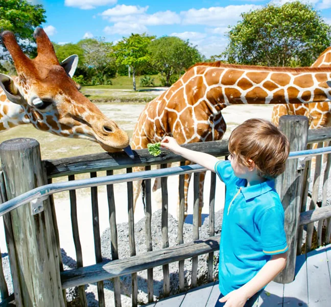 5 Star 10 Nights Dubai Holidays Package
